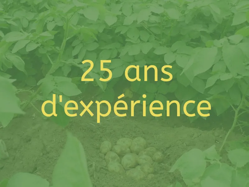 Bel'Frits, plus de 25 ans d'expérience