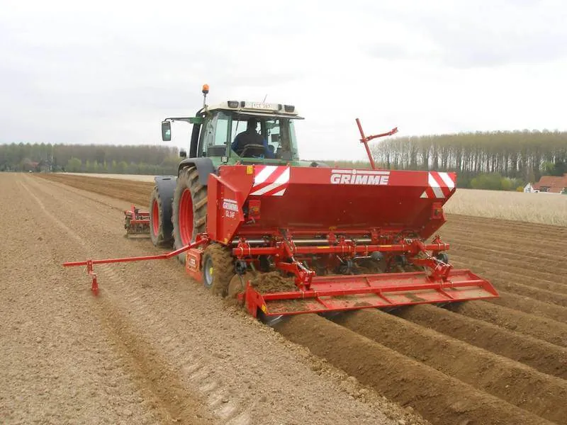 Plantation des pommes de terre